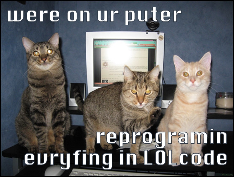 computer_cats